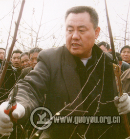 ������ �Ƽ����l(xi��ng)��(y��u)������